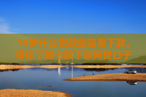19岁什么贷款最容易下款，带你了解七款下款网贷口子分享