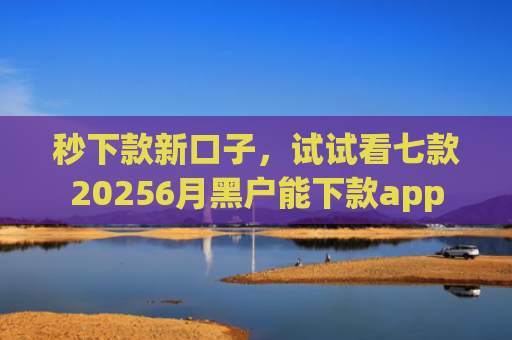 秒下款新口子，试试看七款20256月黑户能下款app