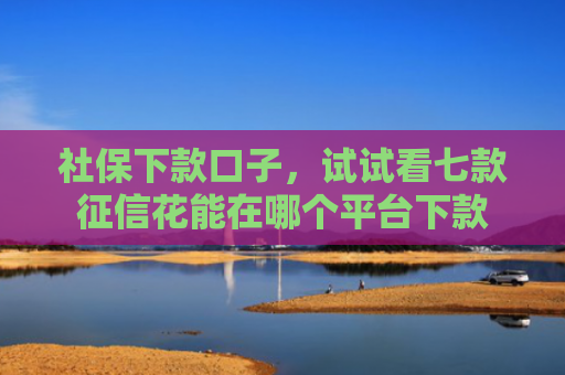 社保下款口子，试试看七款征信花能在哪个平台下款