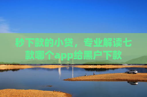 秒下款的小贷，专业解读七款哪个app给黑户下款