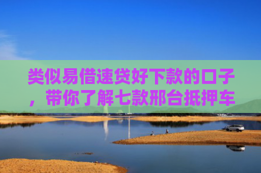 类似易借速贷好下款的口子，带你了解七款邢台抵押车贷款黑户可下款