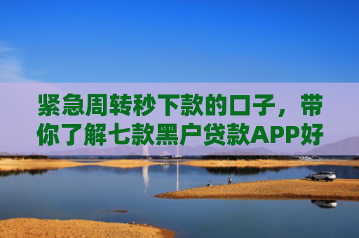 紧急周转秒下款的口子，带你了解七款黑户贷款APP好下款