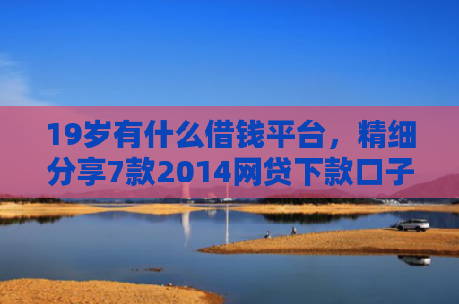 19岁有什么借钱平台，精细分享7款2014网贷下款口子