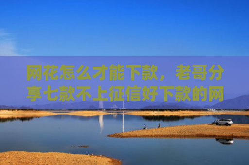 网花怎么才能下款，老哥分享七款不上征信好下款的网贷app
