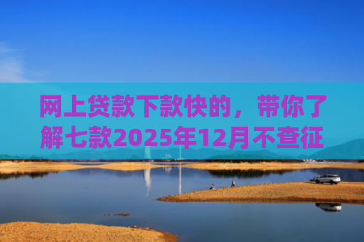 网上贷款下款快的，带你了解七款2025年12月不查征信好下款的app