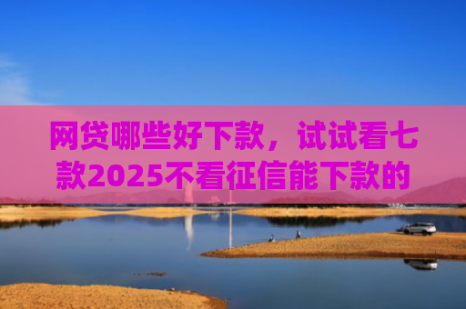 网贷哪些好下款，试试看七款2025不看征信能下款的app