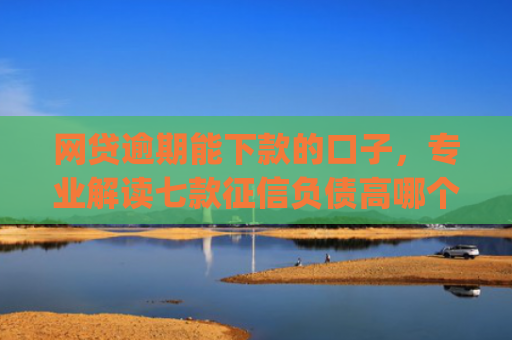 网贷逾期能下款的口子，专业解读七款征信负债高哪个平台好下款app
