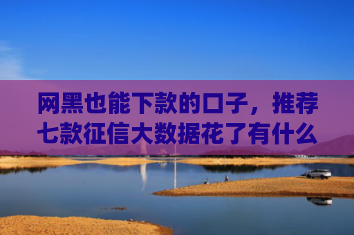 网黑也能下款的口子，推荐七款征信大数据花了有什么app能下款