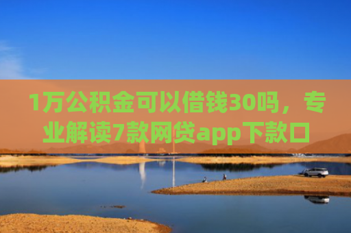 1万公积金可以借钱30吗，专业解读7款网贷app下款口子