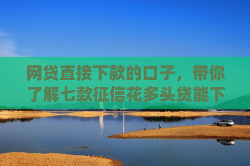网贷直接下款的口子，带你了解七款征信花多头贷能下款的app