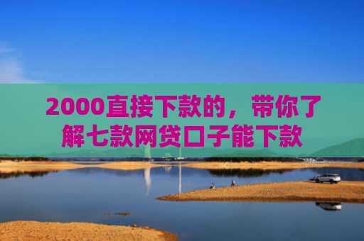 2000直接下款的，带你了解七款网贷口子能下款