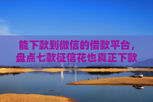 能下款到微信的借款平台，盘点七款征信花也真正下款的网贷