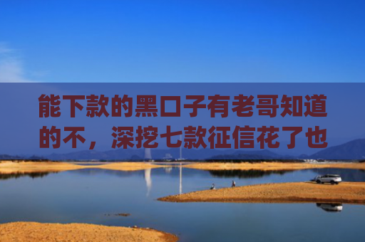能下款的黑口子有老哥知道的不，深挖七款征信花了也能下款的网贷app