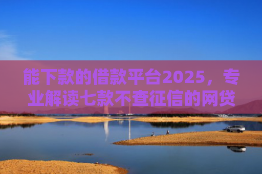 能下款的借款平台2025，专业解读七款不查征信的网贷APP能下款的
