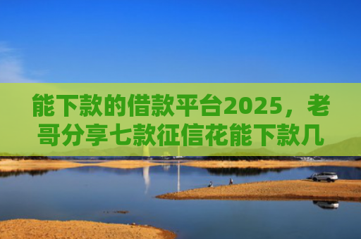 能下款的借款平台2025，老哥分享七款征信花能下款几百的网贷