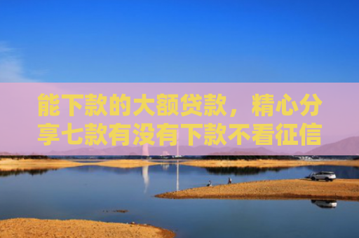 能下款的大额贷款，精心分享七款有没有下款不看征信的网贷平台