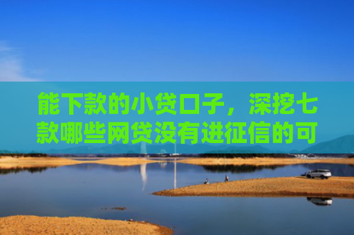 能下款的小贷口子，深挖七款哪些网贷没有进征信的可以下款