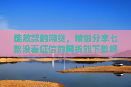 能放款的网贷，精细分享七款没看征信的网贷能下款吗