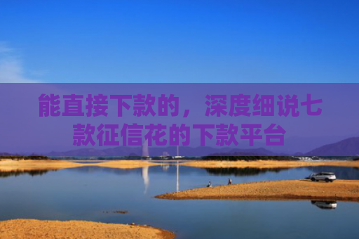 能直接下款的，深度细说七款征信花的下款平台