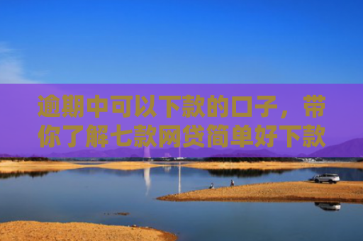 逾期中可以下款的口子，带你了解七款网贷简单好下款的口子