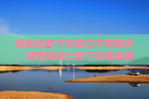 逾期还能下款的口子有哪些，深度细说七款下款率高的网贷口子及贷