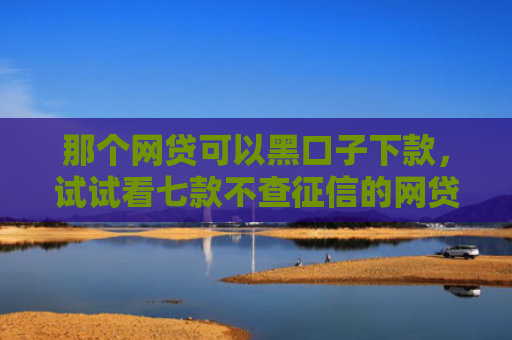 那个网贷可以黑口子下款，试试看七款不查征信的网贷能下款的
