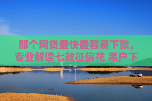 那个网贷最快最容易下款，专业解读七款征信花 黑户下款的网贷