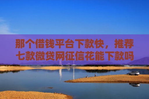 那个借钱平台下款快，推荐七款微贷网征信花能下款吗