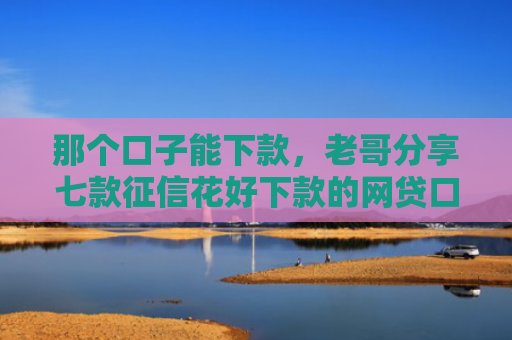 那个口子能下款，老哥分享七款征信花好下款的网贷口子