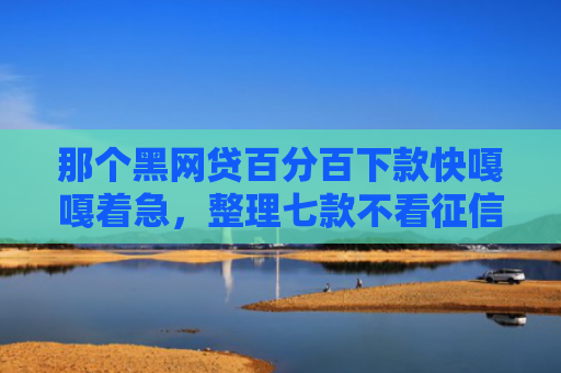 那个黑网贷百分百下款快嘎嘎着急，整理七款不看征信必下款的网贷