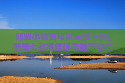 那些小额贷可以直接下款，整理七款征信很花能下款的网贷