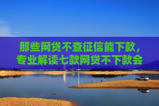 那些网贷不查征信能下款，专业解读七款网贷不下款会印象征信吗