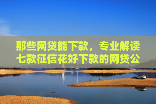 那些网贷能下款，专业解读七款征信花好下款的网贷公司