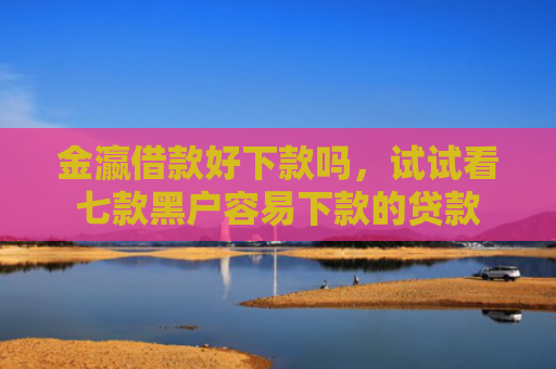 金瀛借款好下款吗，试试看七款黑户容易下款的贷款