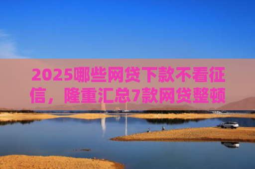 2025哪些网贷下款不看征信，隆重汇总7款网贷整顿后下款口子
